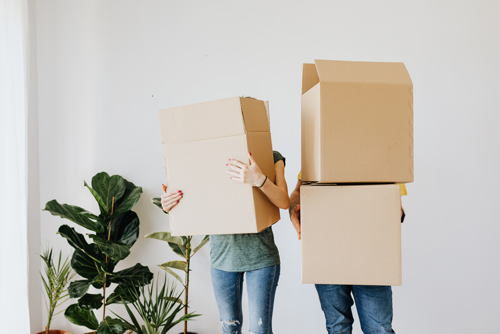 renters_in_perth
