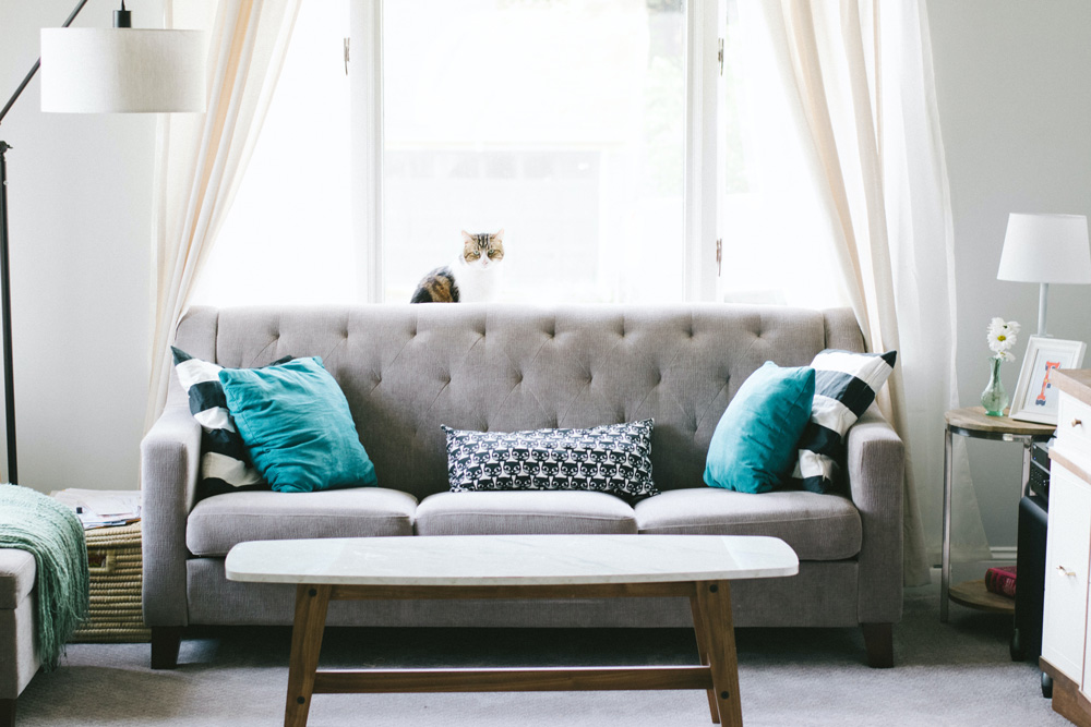 sofa_rental_property_ppm